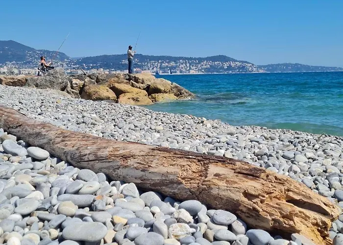 Butterfly * Nizza