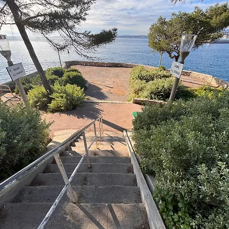 アパート Butterfly ニース