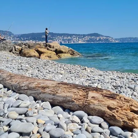 Butterfly * Nizza